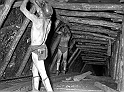 souvenirs en noir et blanc (448)